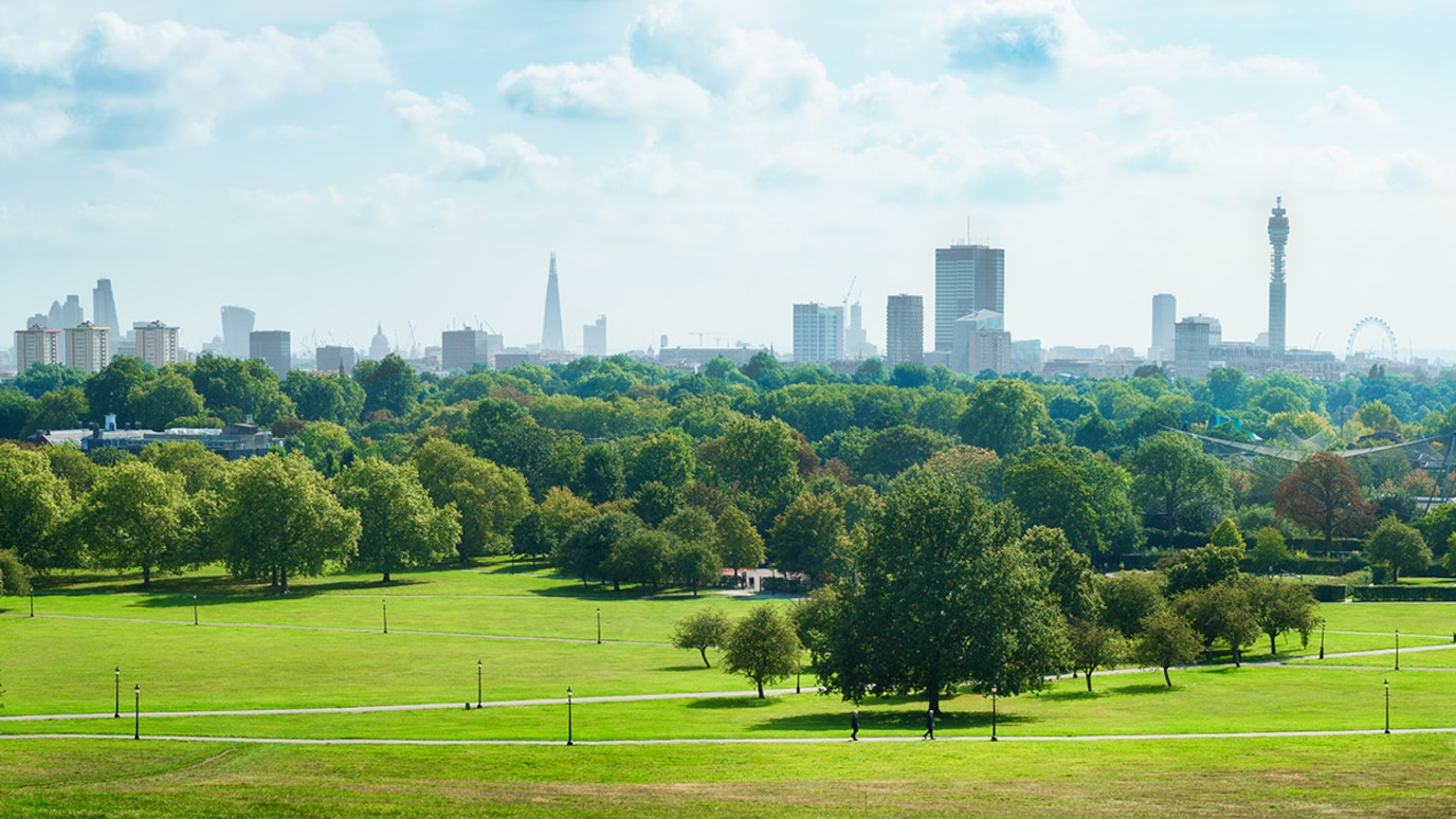 city and trees