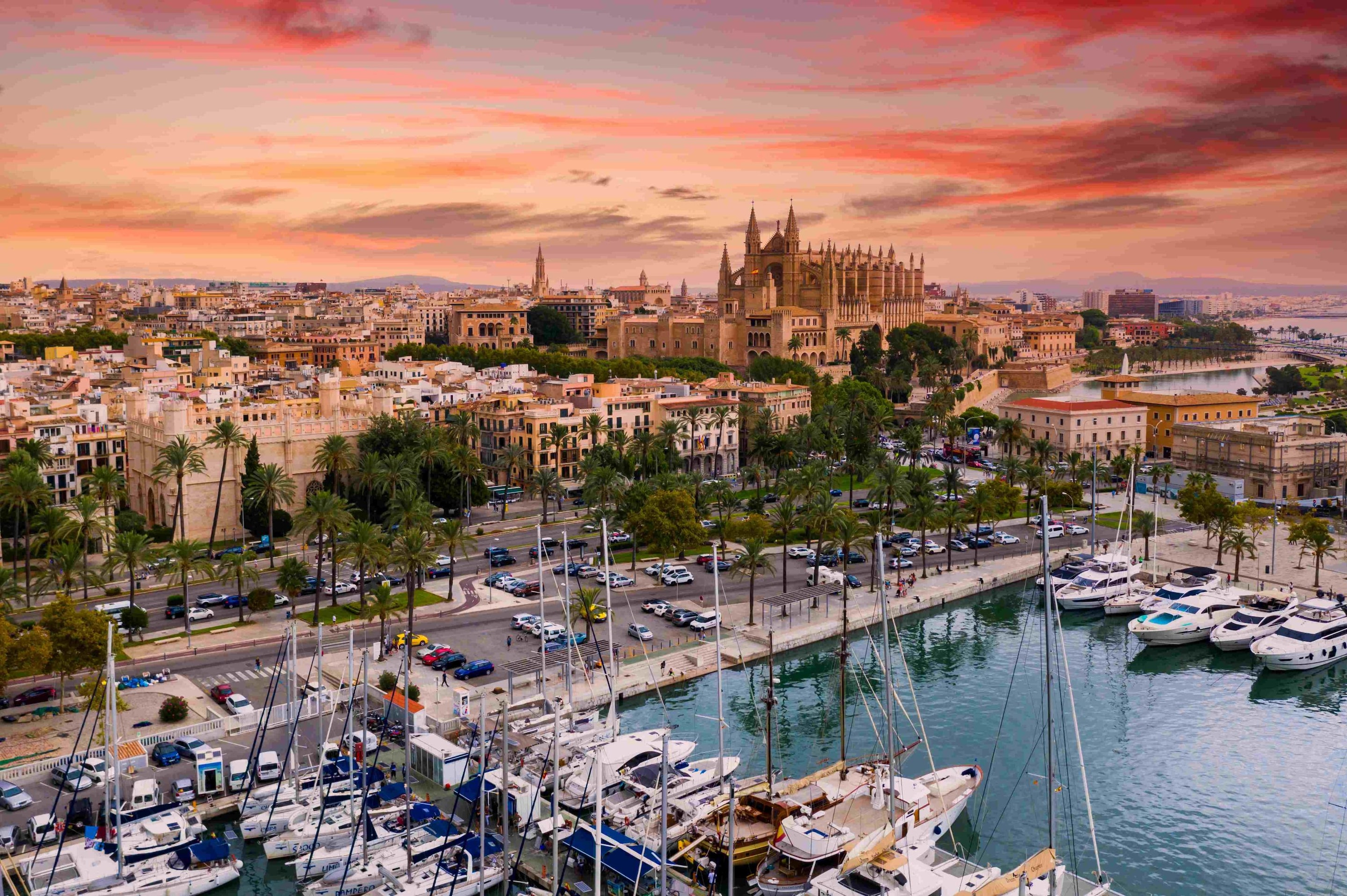 Palma