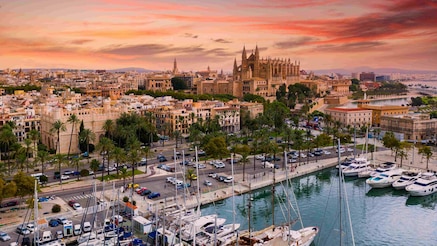 Palma