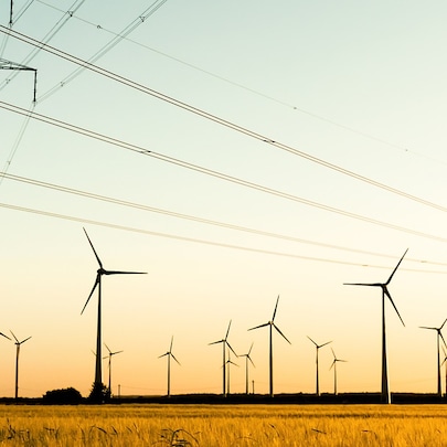 electricity towers
