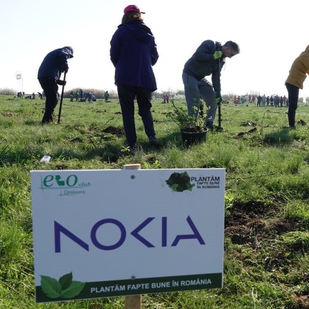 Planting trees