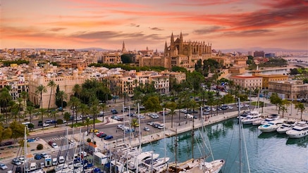 SReXperts EMEA