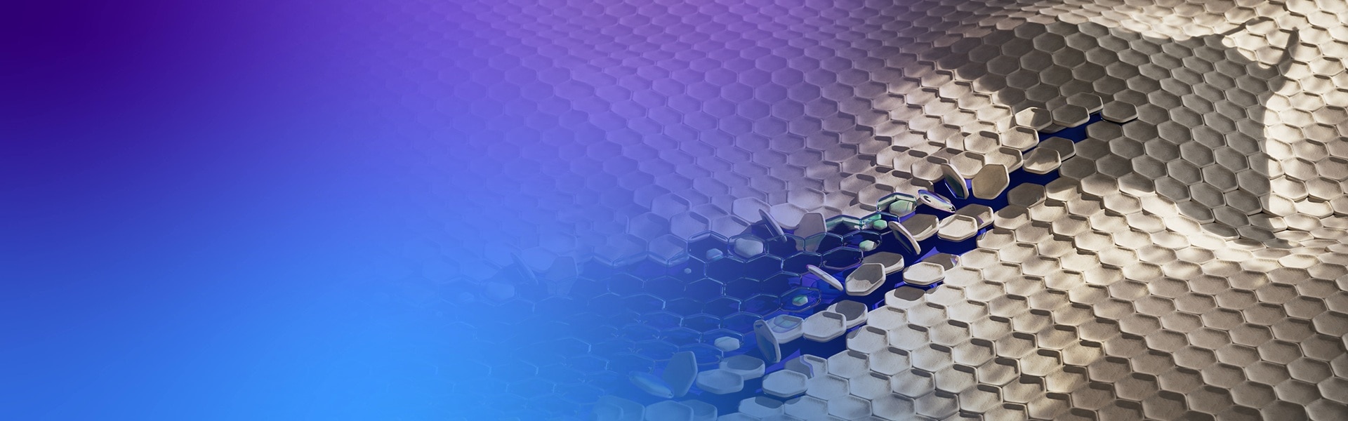 header image