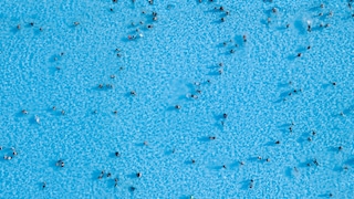 people enjoying in water