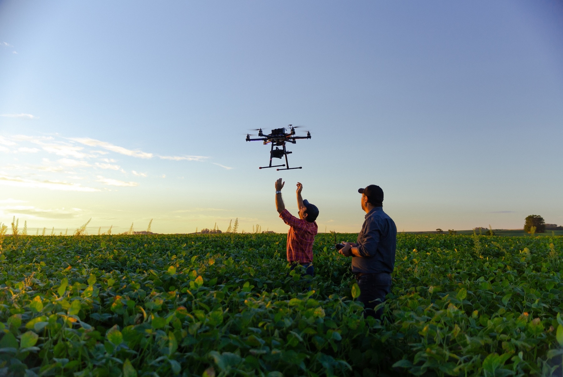 Two men control a flying drone in a field