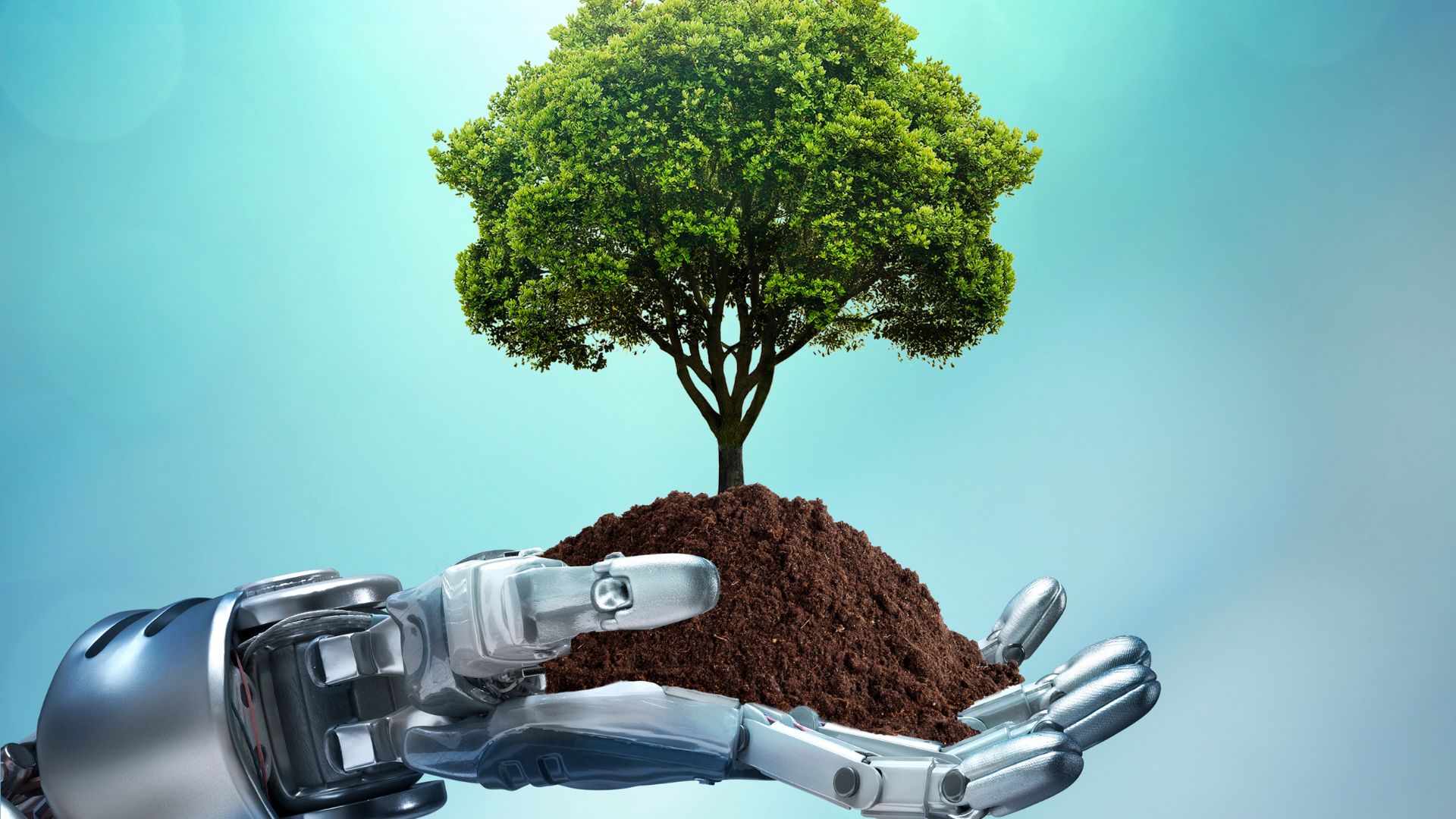 Robot hand holding a tree grounded with soil