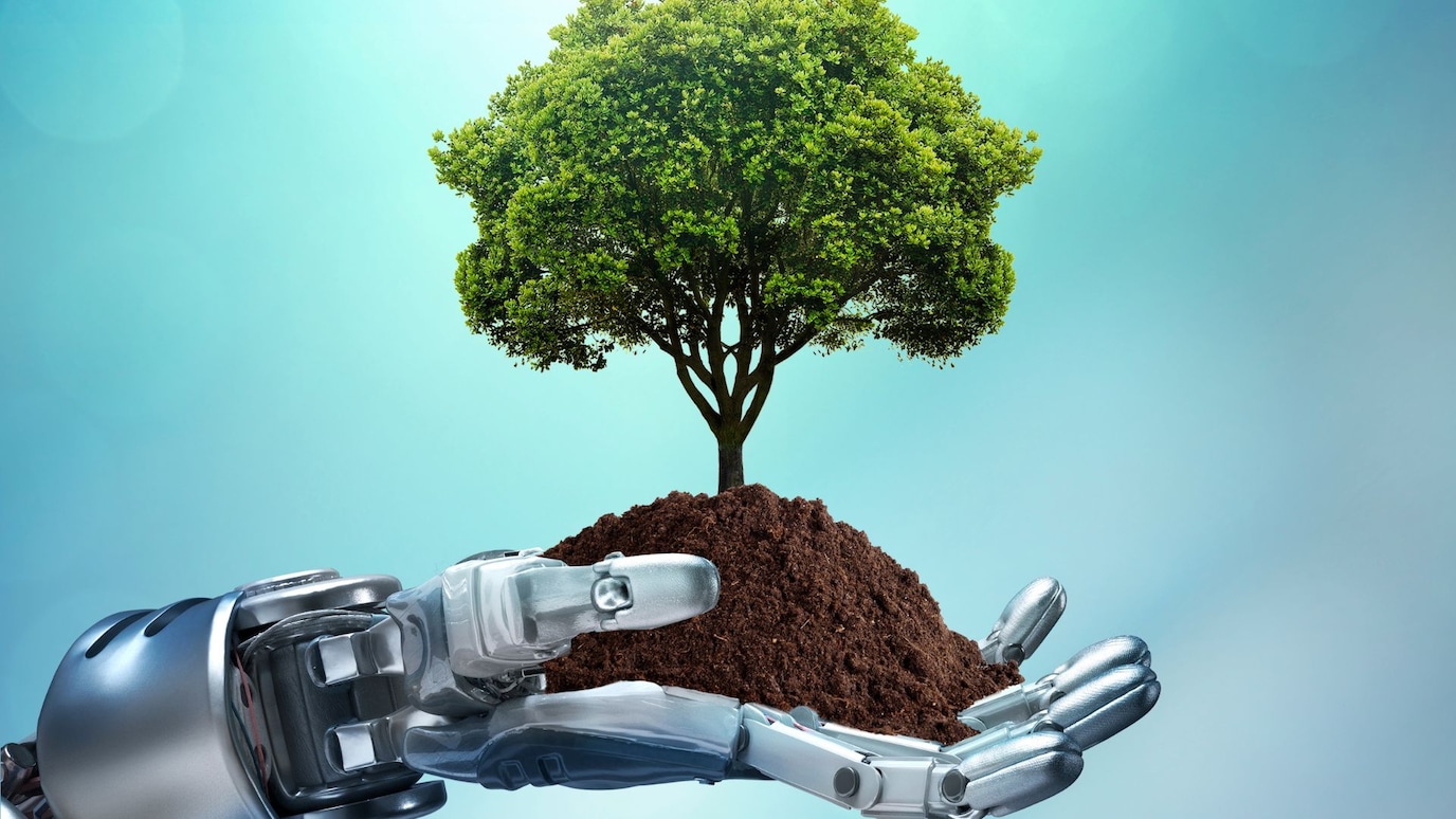 Robot hand holding a tree grounded with soil