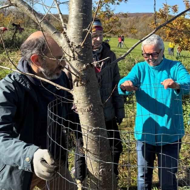 Employees from Germany