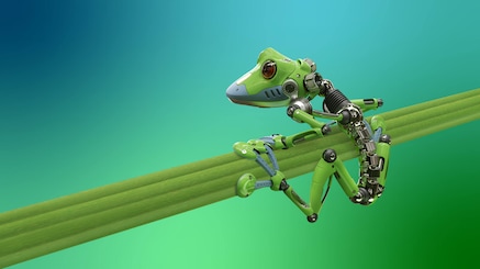 robo frog