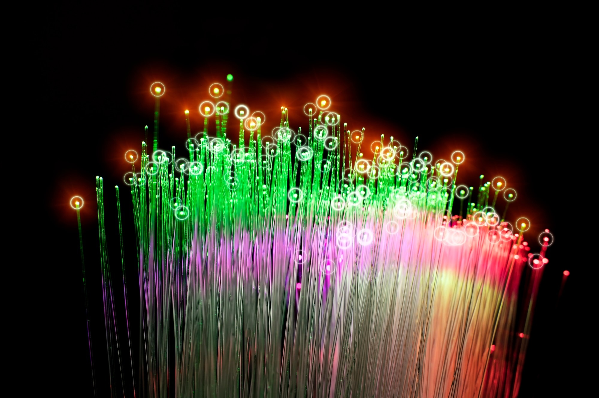 Abstract fiber optic strands glowing green, red and purple on black background, symbolizing data technology