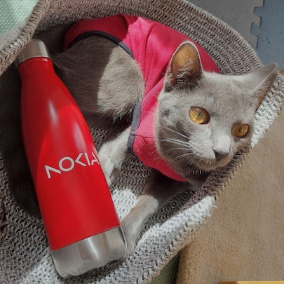 Cat holding a Nokia bottle