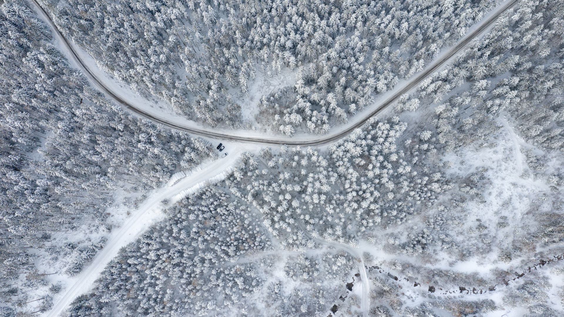 Snowy forest from above