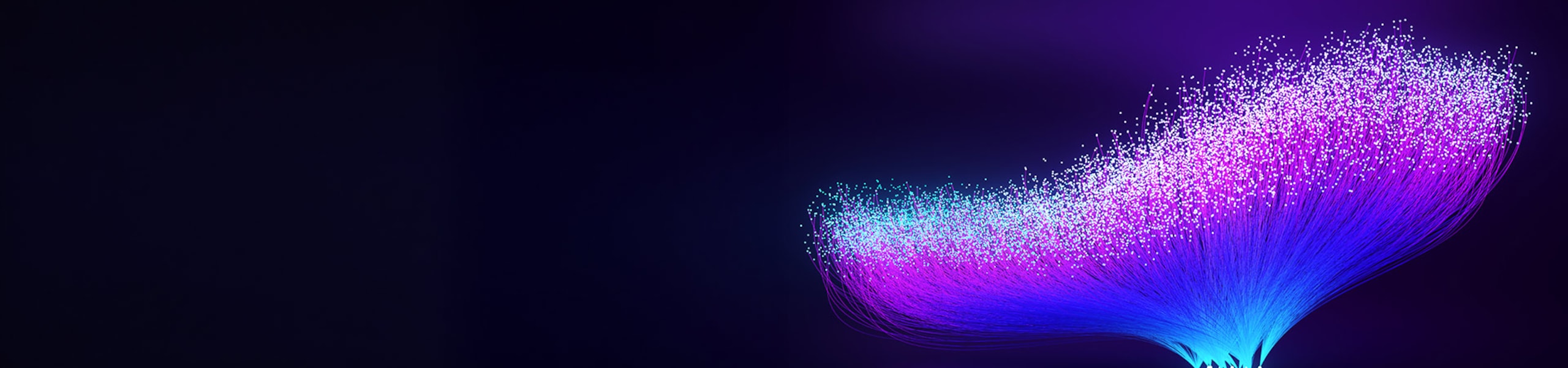 Swirl of purple blue lit fiber optic cables