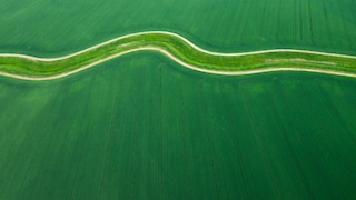 Overhead view of winding road through green field