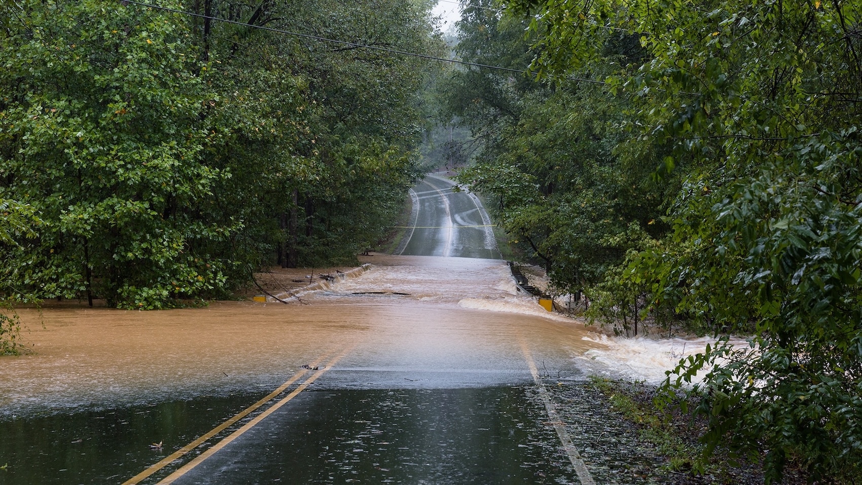 Flooded rural roadway surrounded by dense green forest, with muddy water flowing across the road during heavy rain and tree branches overhanging the scene.