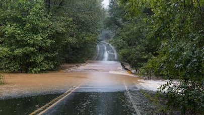 Flooded rural roadway surrounded by dense green forest, with muddy water flowing across the road during heavy rain and tree branches overhanging the scene.