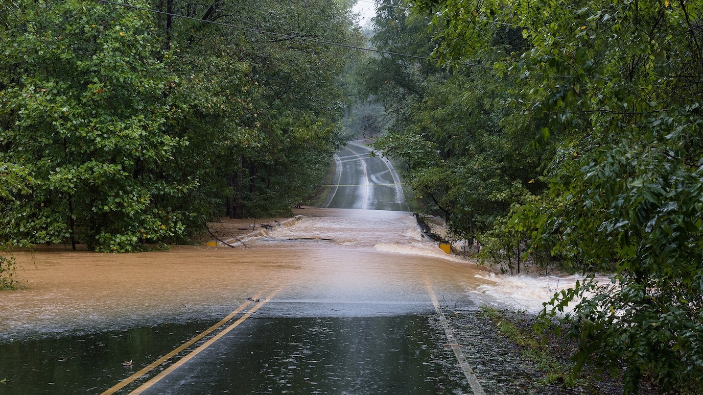 Flooded rural roadway surrounded by dense green forest, with muddy water flowing across the road during heavy rain and tree branches overhanging the scene.