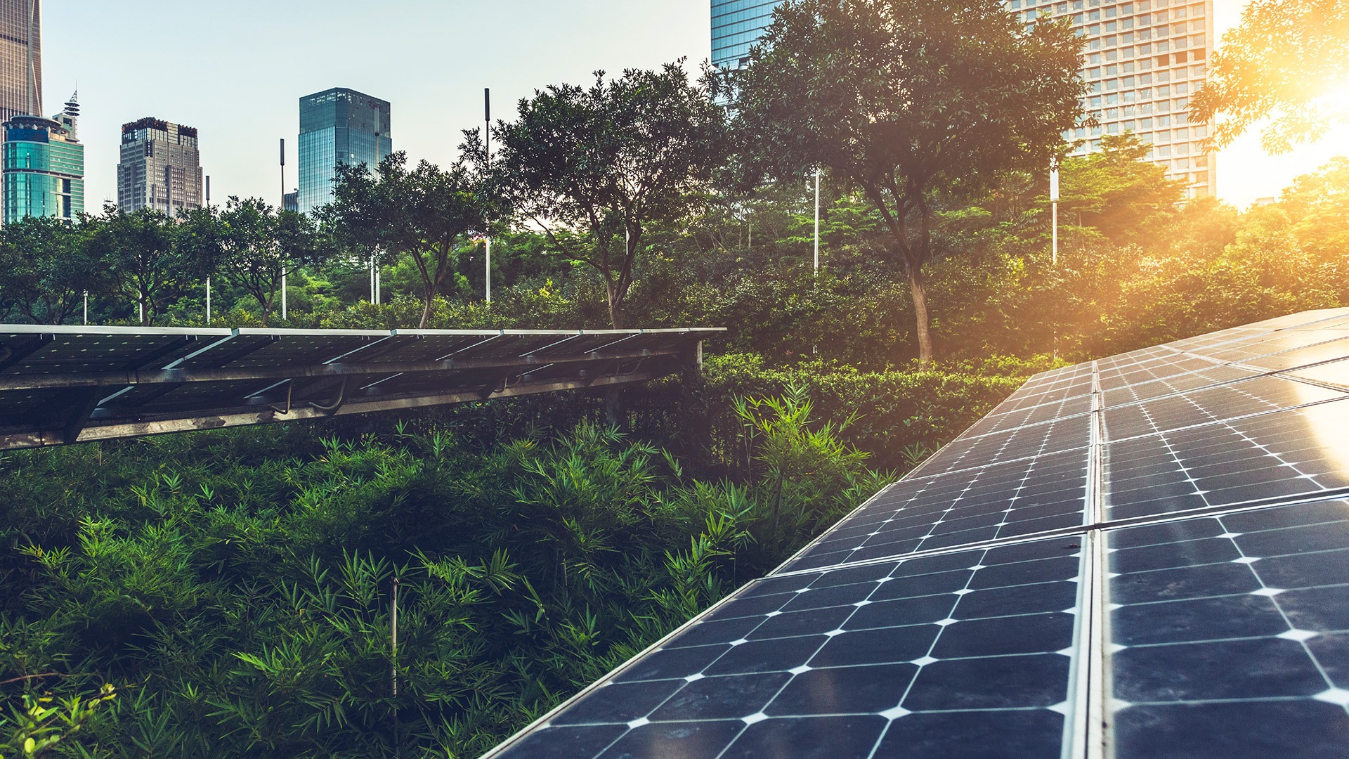 Solar panels in city green space with tall buildings in background