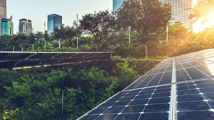 Solar panels in city green space with tall buildings in background