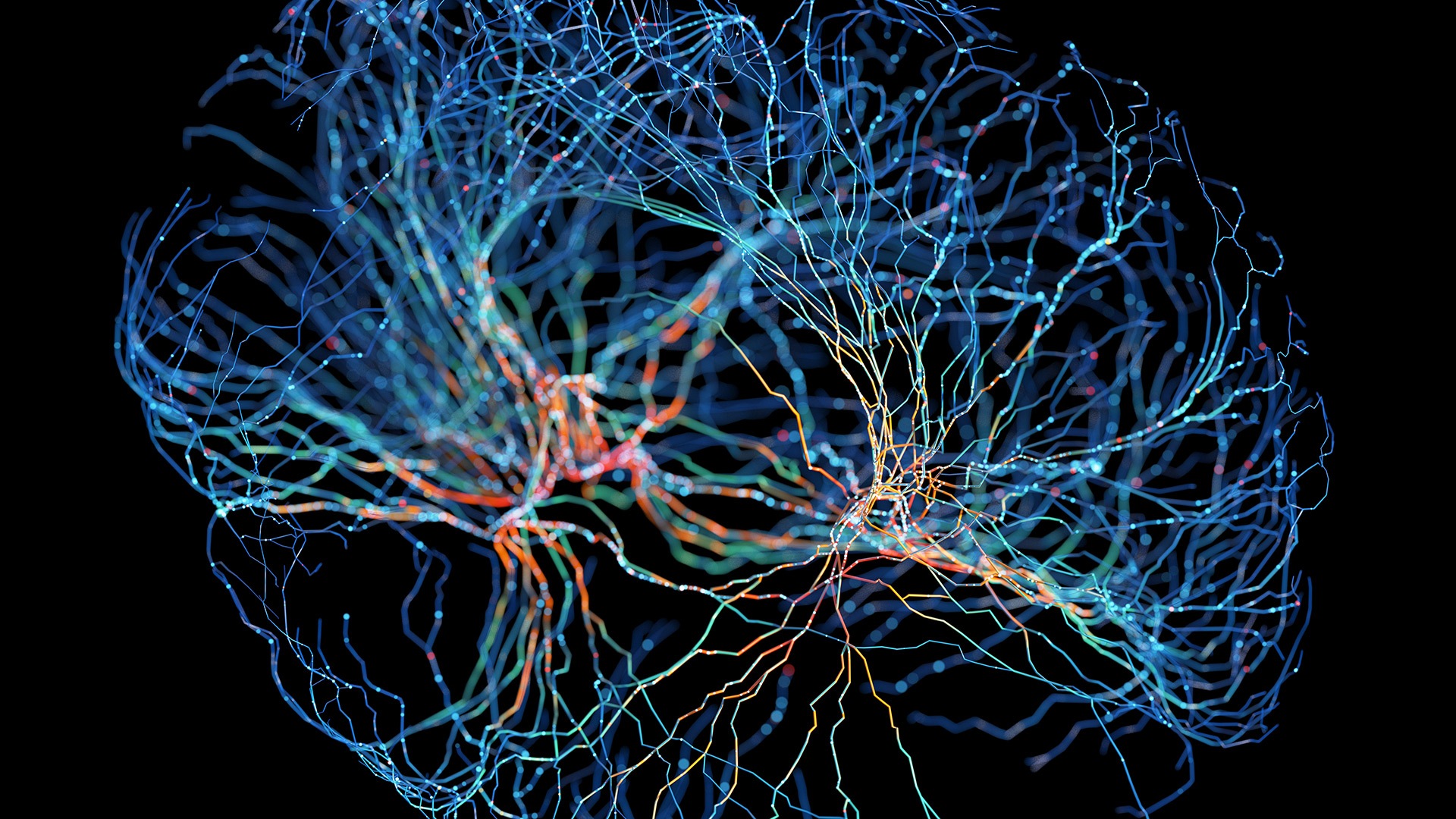 Illustration of neural network