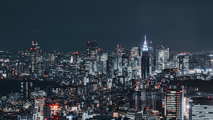 placeholder city