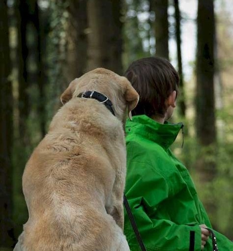 boy with his dog
