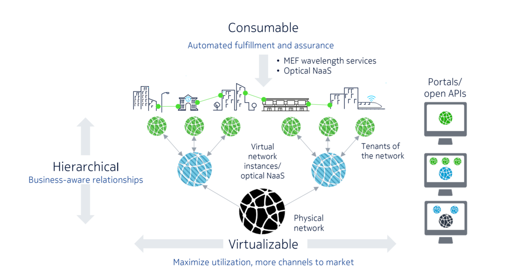 Figure 1: WaveSuite Service Enablement foundational data model