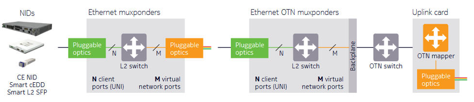 Integrated packet transport components
