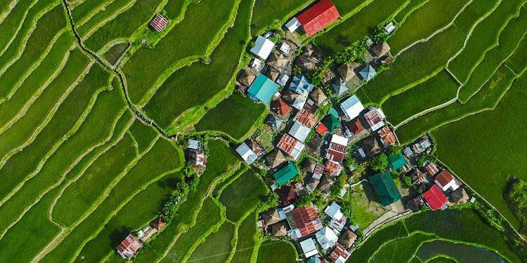 Aerial view of  village image
