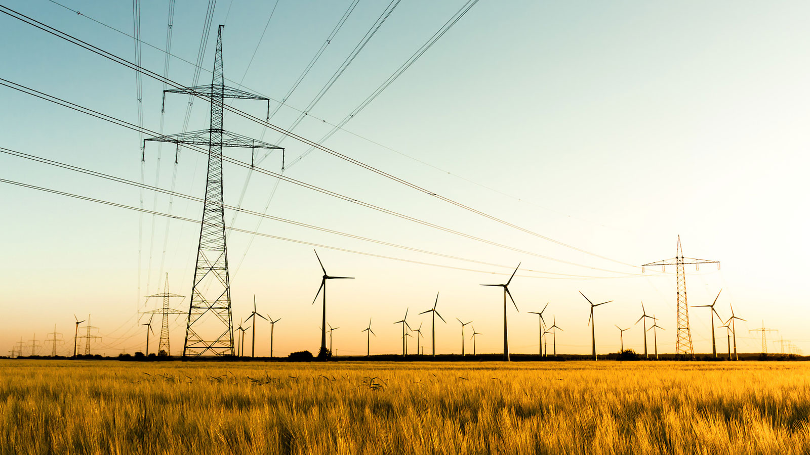 A sunset landscape showing a golden wheat field with wind turbines and electrical transmission towers in the background.