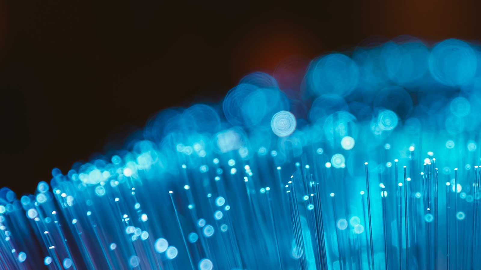A close-up view of what appears to be fiber optic cables or strands. The strands are illuminated with a vibrant blue light, creating a glowing, ethereal effect. The tips of the fibers are brightly lit, producing a field of blue dots and circles of various sizes due to the depth of field and focus.