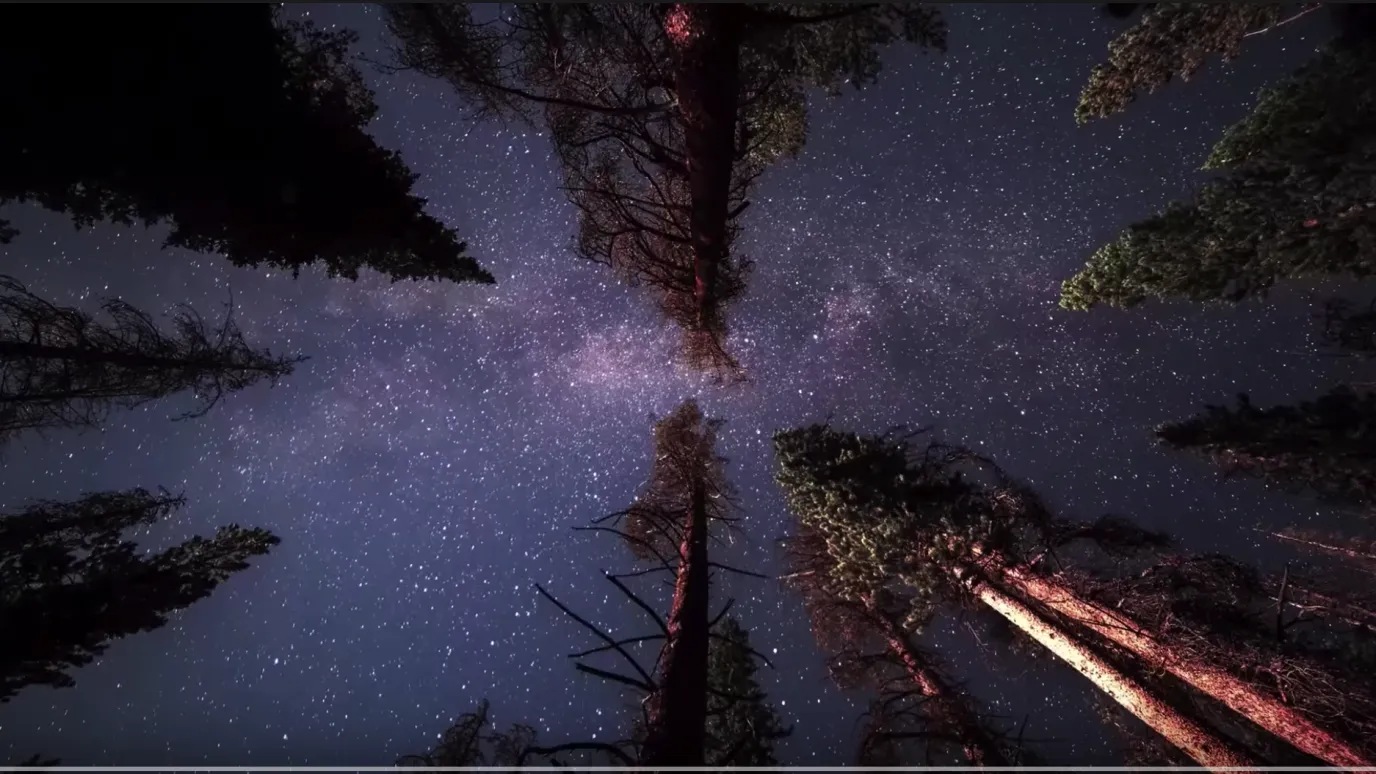 stars at night