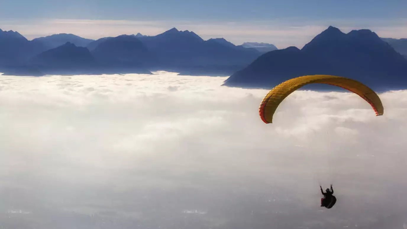 Openness drives innovation