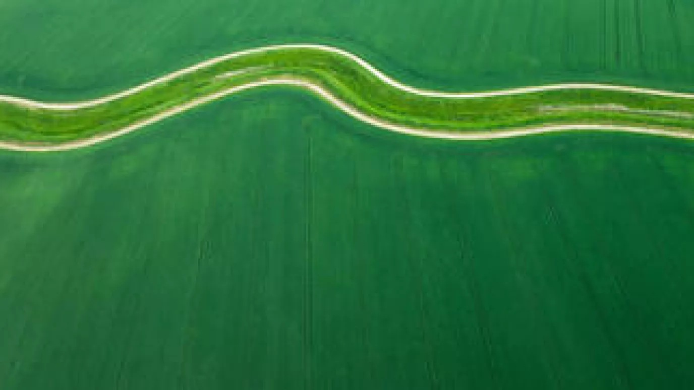 farm