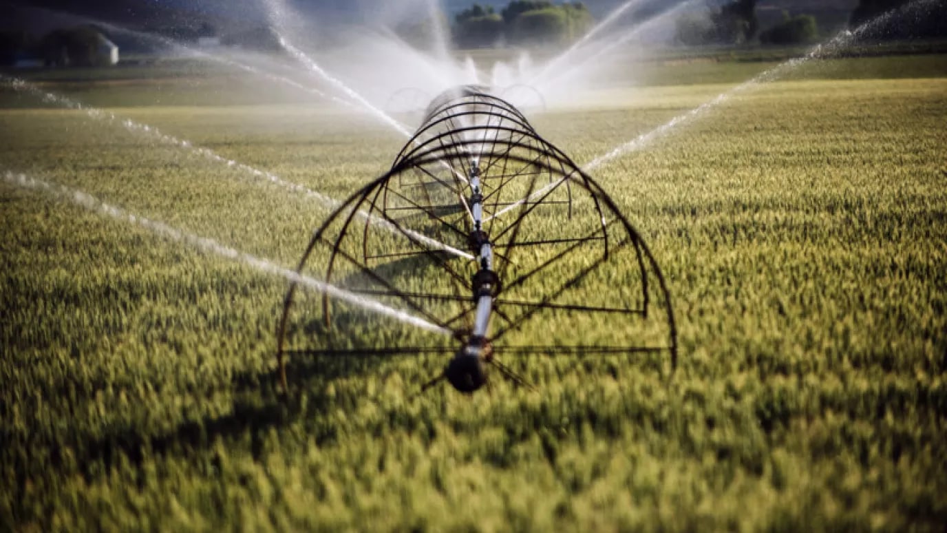 smart agriculture
