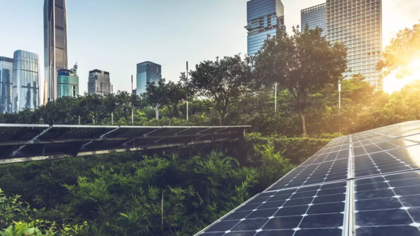 sustainability
