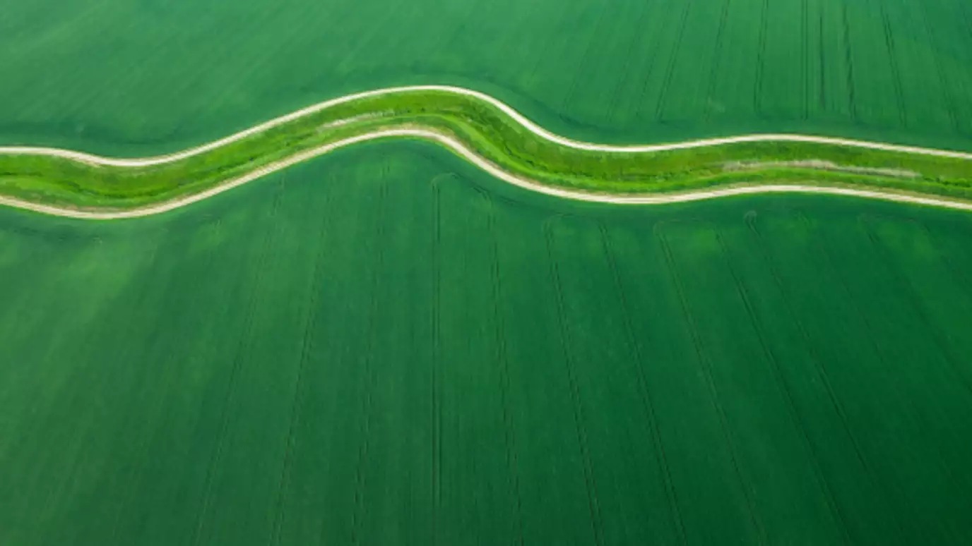 green fields