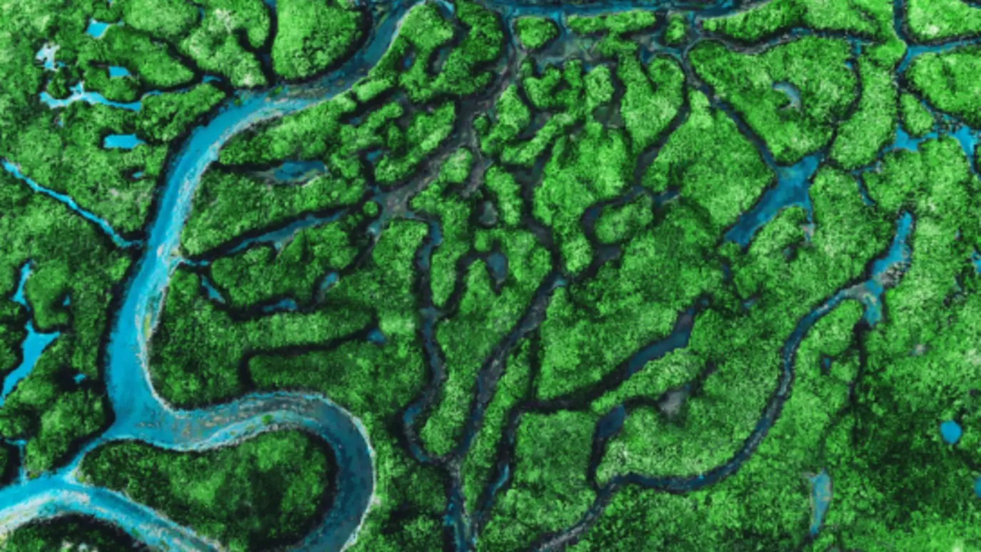 green curvy river