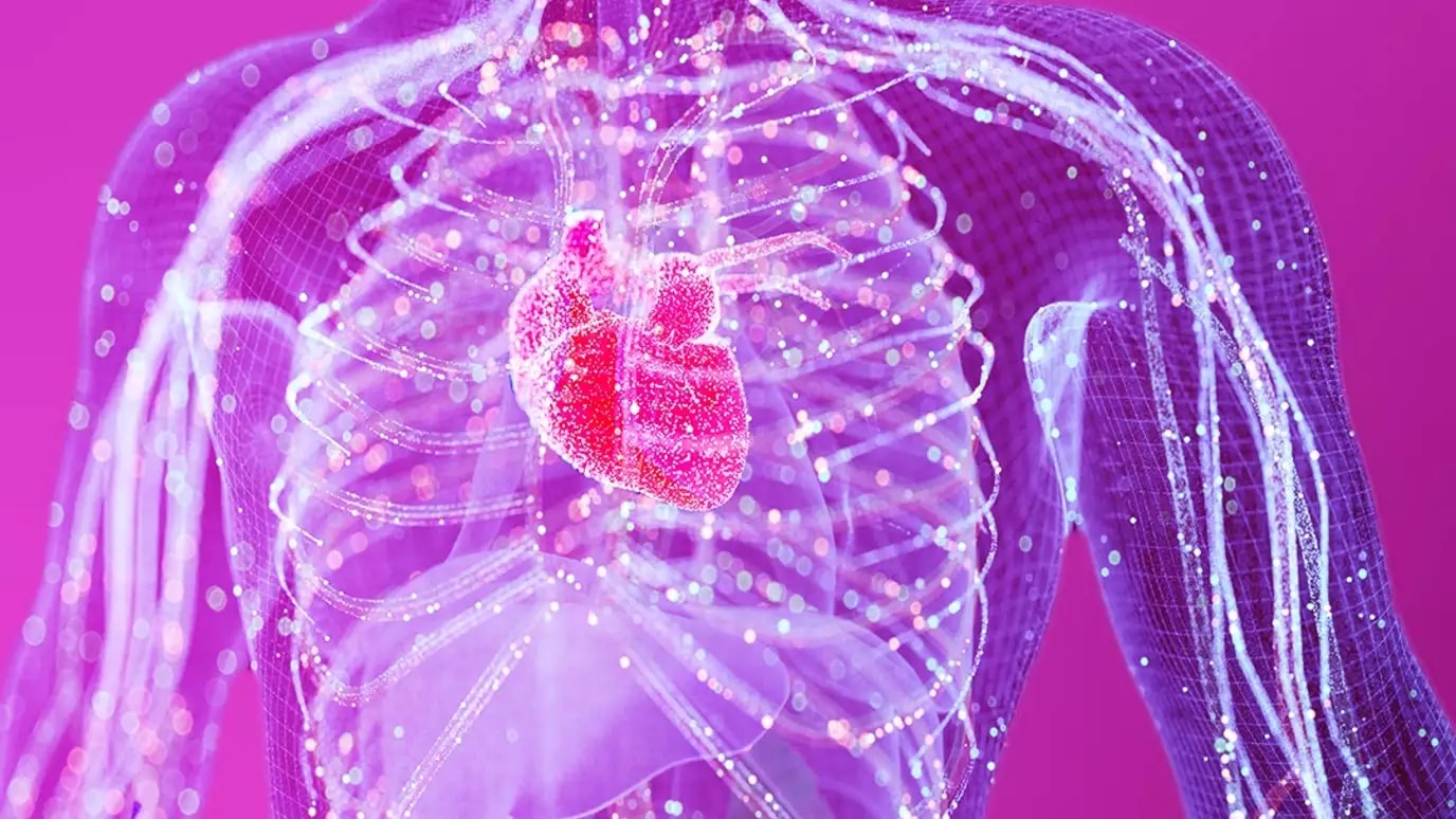 digital twin of the humane immune system