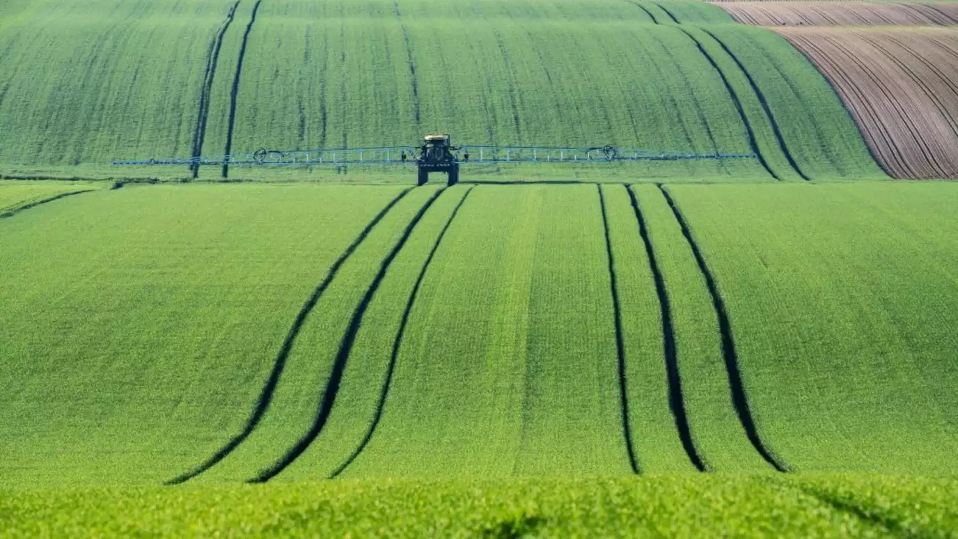 IP network sustainability