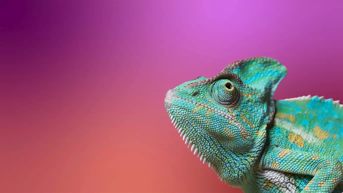 threat intelligence