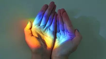 hands