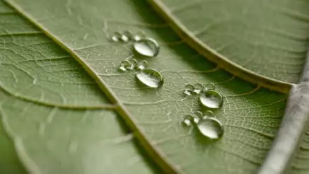 Artificial intelligence can reduce your carbon footprint by 30 percent now