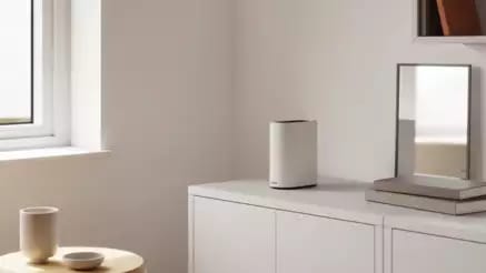 fiber ont