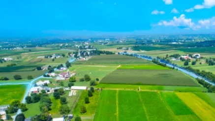 farm