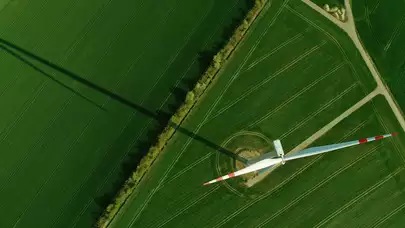 sustainable future
