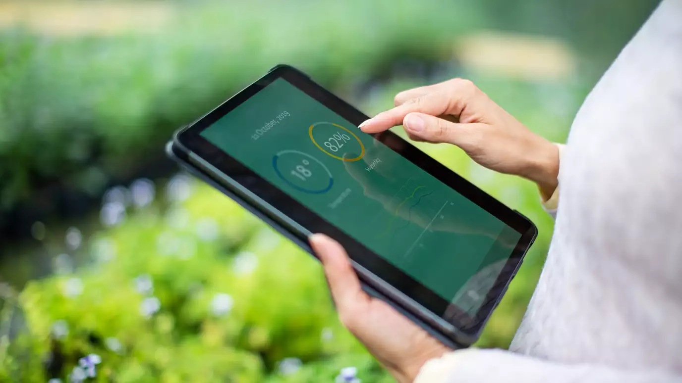 change management at nokia company case study Image