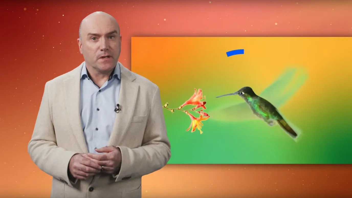 Fran Heeran giving a recap speech.