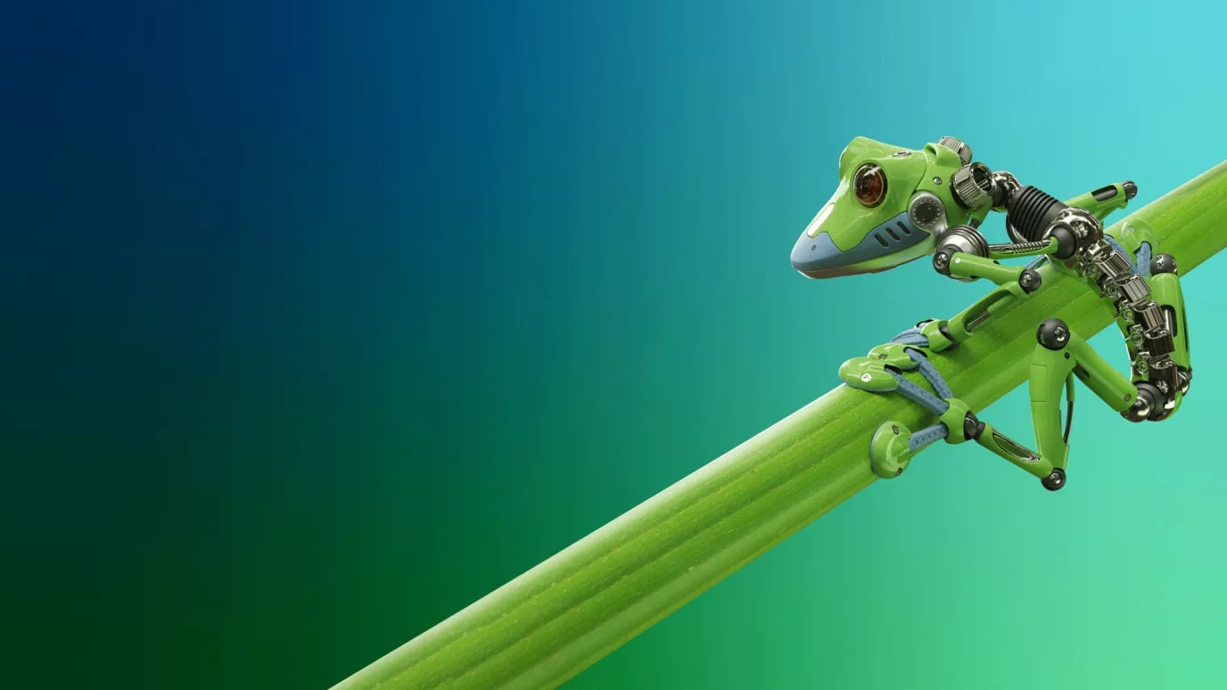 frog
