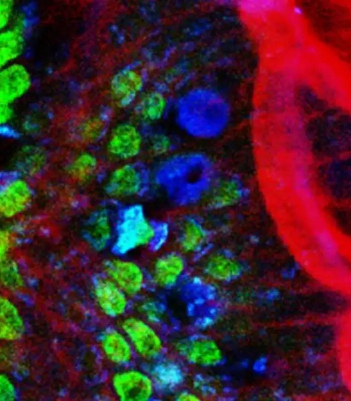 Neurophysics research
